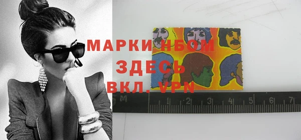 тгк Ельня
