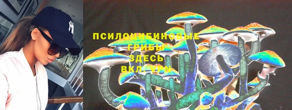 тгк Ельня