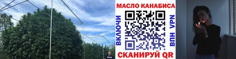 гидра маркетплейс  Елизово  Дистиллят ТГК гашишное масло  купить  