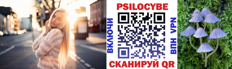 Галлюциногенные грибы мухоморы  darknet клад  Елизово 