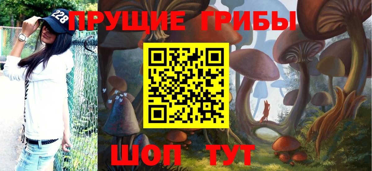 Псилоцибиновые грибы GOLDEN TEACHER Елизово
