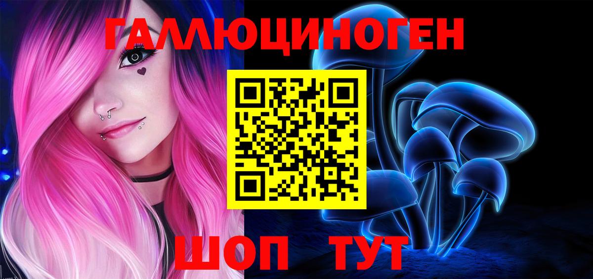 Псилоцибиновые грибы Cubensis  Елизово 