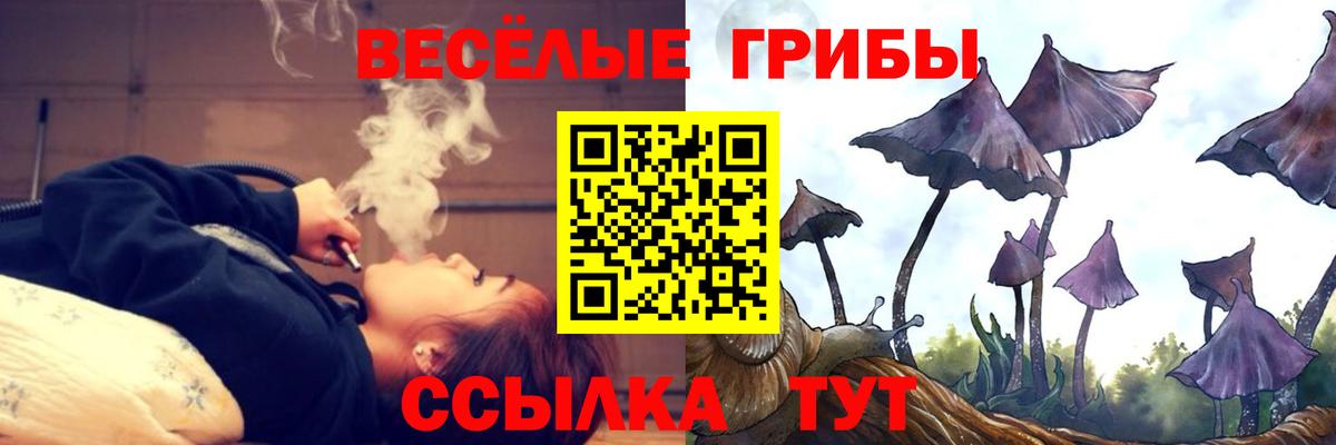 хочу наркоту  Галлюциногенные грибы GOLDEN TEACHER  Вход с VPN  Елизово 
